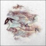 Floating Harmonies - CD Audio di Junius Meyvant