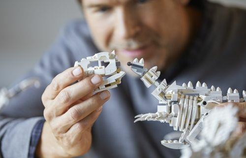 LEGO® Ideas 21320 Fossili di dinosauro - 13