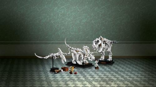 LEGO® Ideas 21320 Fossili di dinosauro - 15