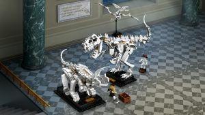 LEGO® Ideas 21320 Fossili di dinosauro - 4