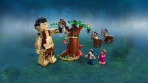 LEGO Harry Potter (75967). La foresta proibita: l'incontro con la Umbridge - 6