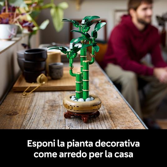 LEGO Botanicals (10344). Bambù del buon auspicio - 5