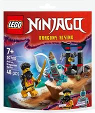 LEGO Recruitment Bags (30700). Battaglia di Arin vs. Dragoniano