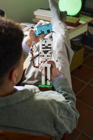 LEGO Minecraft (21594). Lo Scheletro - 3