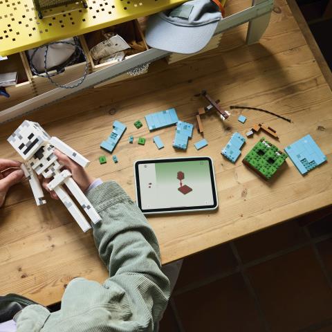 LEGO Minecraft (21594). Lo Scheletro - 7