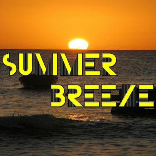 Summer Beach Party - CD Audio