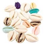 75 perle di conchiglia 20 mm - Multicolore