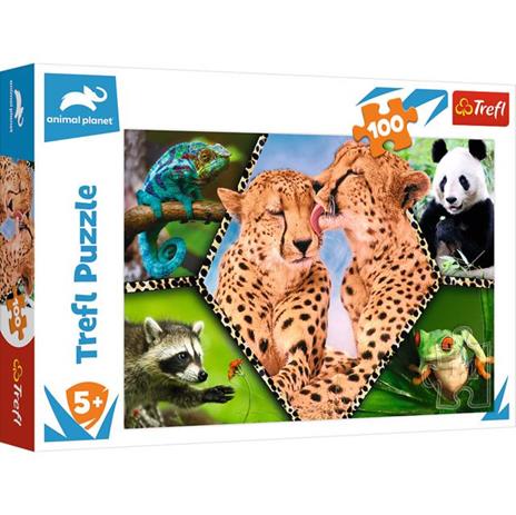 Puzzle da 100 Pezzi - Splendida Natura