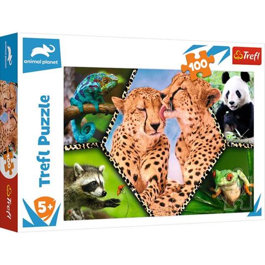 Puzzle da 100 Pezzi - Splendida Natura