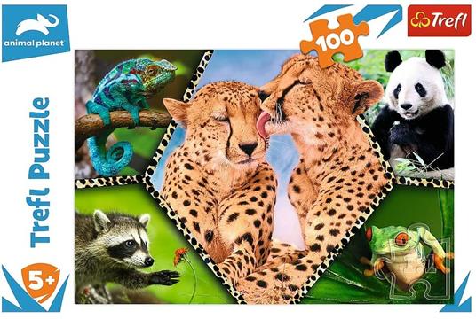 Puzzle da 100 Pezzi - Splendida Natura - 3