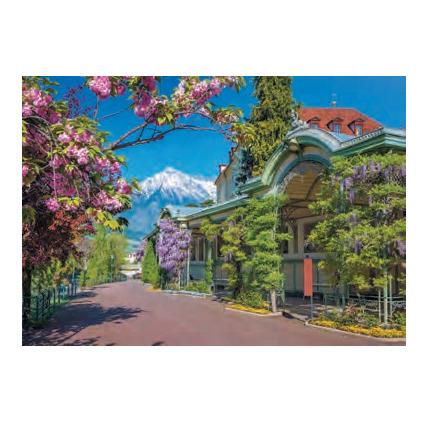 Puzzle da 2000 Pezzi - Merano, Italy