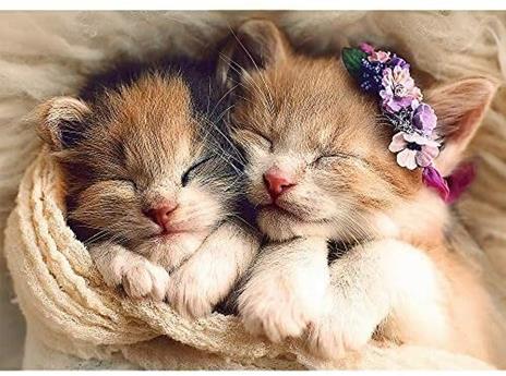Puzzle da 500 Pezzi - Sleeping Kittens - 2