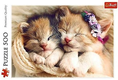 Puzzle da 500 Pezzi - Sleeping Kittens - 3