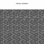 Virtual Company