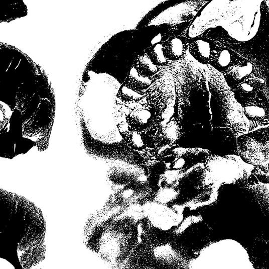 Dodsabnorm - CD Audio di Folkstorm