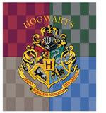 Harry Potter Hogwarts coral blanket Warner Bros.