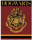 Harry Potter Hogwarts coral blanket Warner Bros.