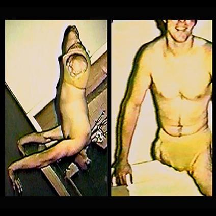 Adding And Subtracting - CD Audio di Black Leather Jesus