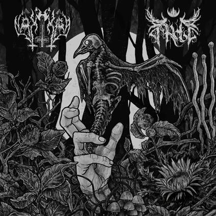 Nakkiga/Arde - Nakkiga/Arde - CD Audio