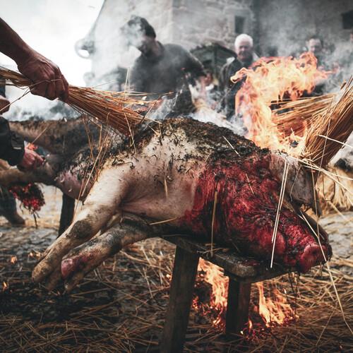 Crueza Ferina - CD Audio di Holocausto Canibal