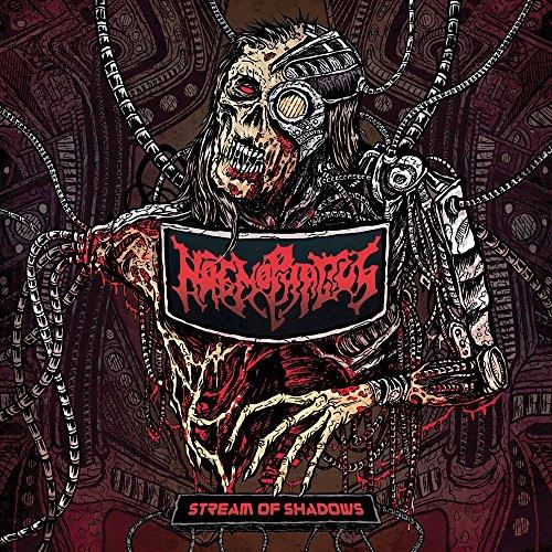 Stream Of Shadows - CD Audio
