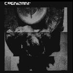 Cognizant