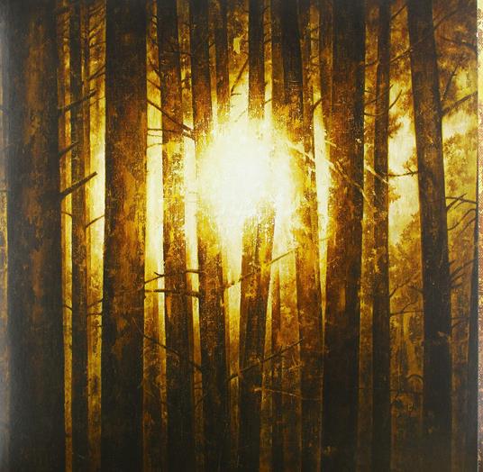 Echoes - Vinile LP di In Mourning