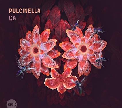 Ca - CD Audio di Pulcinella