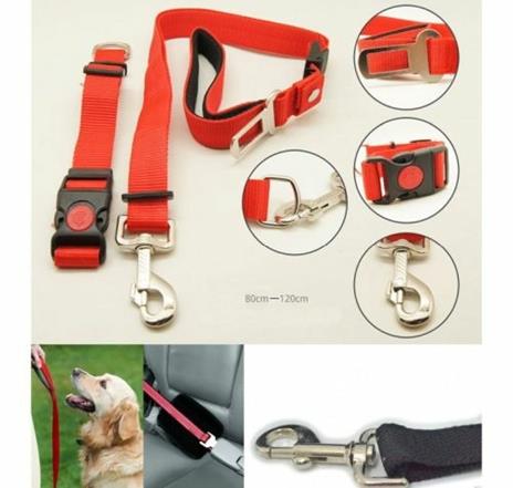 Guinzaglio Cintura Di Sicurezza Per Cani Cane + Collare Regolabile X Sedile Auto - 2