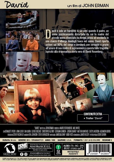 David (DVD) di John Erman - DVD - 2