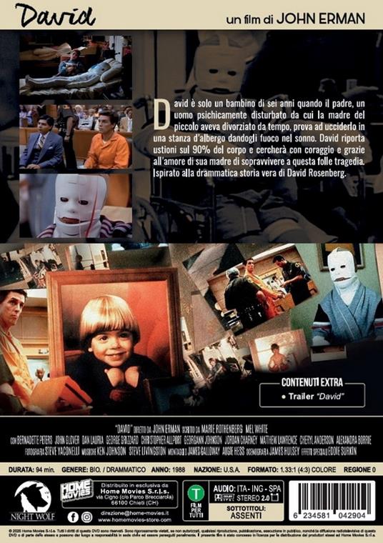 David (DVD) di John Erman - DVD - 2