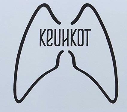 Laskeumtumisalusastia - CD Audio di Keuhkot