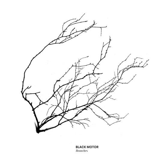 Branches - CD Audio di Black Motor