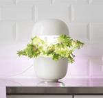 Plantui 3e Smart Garden Vaso Intelligente Bianco Rotondo