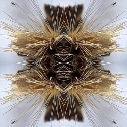 Sutra - CD Audio di Yakuza