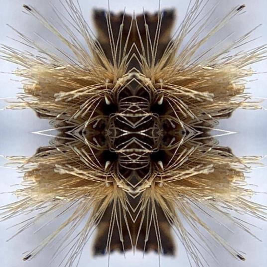 Sutra - CD Audio di Yakuza