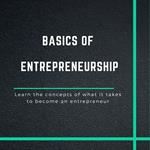 The Basics of Entrepreneurship