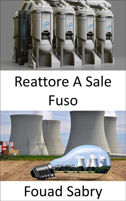 Reattore A Sale Fuso - Fouad Sabry,Cosimo Pinto - ebook