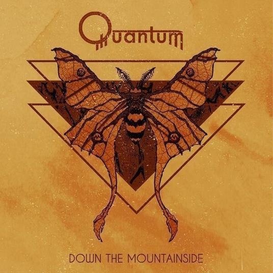 Down The Mountainside - Vinile LP di Quantum