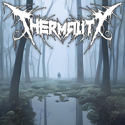 Before I Get To Rest - Vinile LP di Thermality