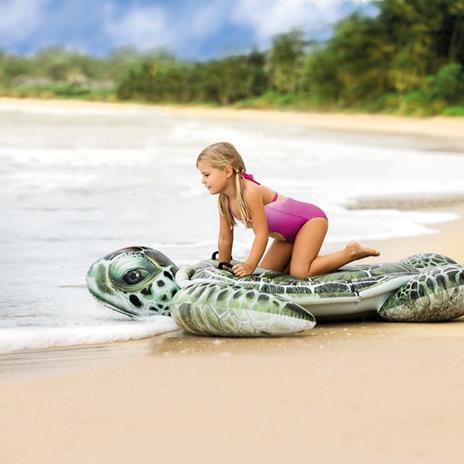 Cavalcabile Tartaruga - 2