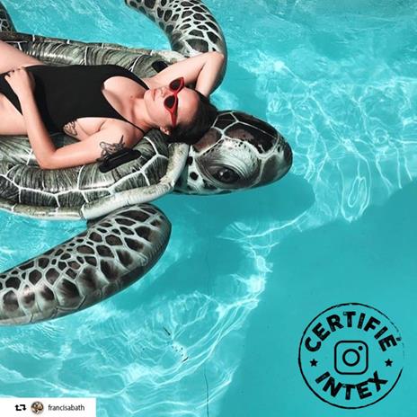 Cavalcabile Tartaruga - 3