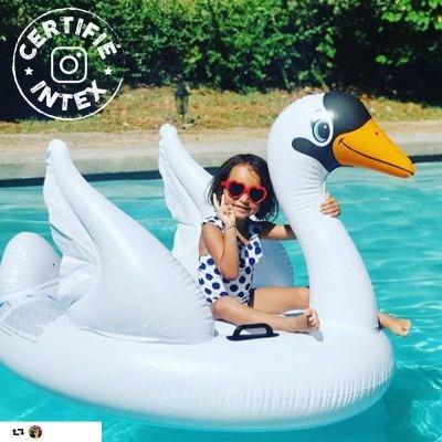 Cavalcabile Cigno Bianco 130cm - 4