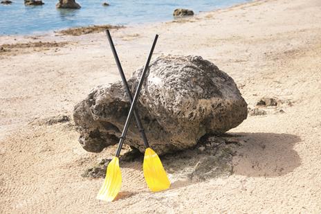 Bestway 62015 racchetta Nero, Giallo Plastica 2 pezzo(i) - 3