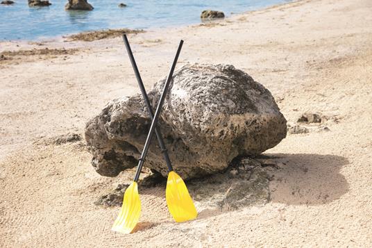 Bestway 62015 racchetta Nero, Giallo Plastica 2 pezzo(i) - 3