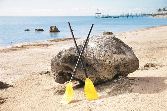 Bestway 62015 racchetta Nero, Giallo Plastica 2 pezzo(i) - 4