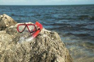 Bestway 24029 maschera per immersioni Adulto Policarbonato Multicolore - 6