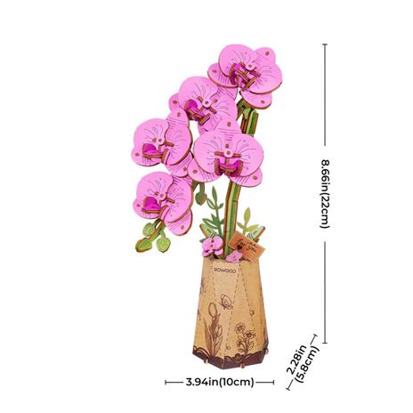 Purple Moth Orchid - Orchidea viola. Robotime - 6