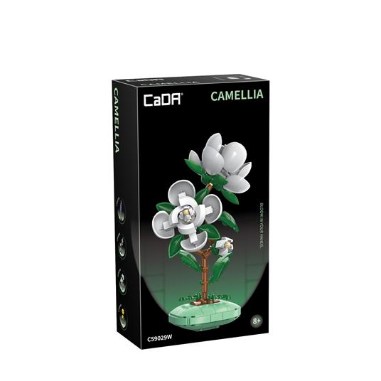 Camelia - 278 pz