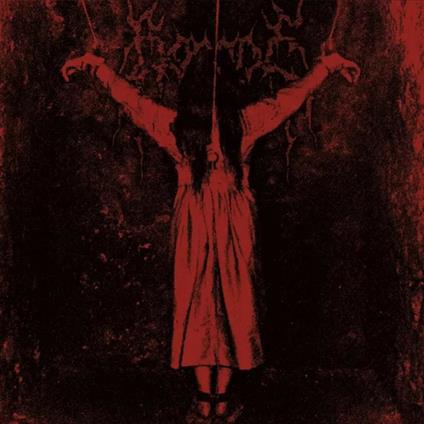 Y - CD Audio di Borgne